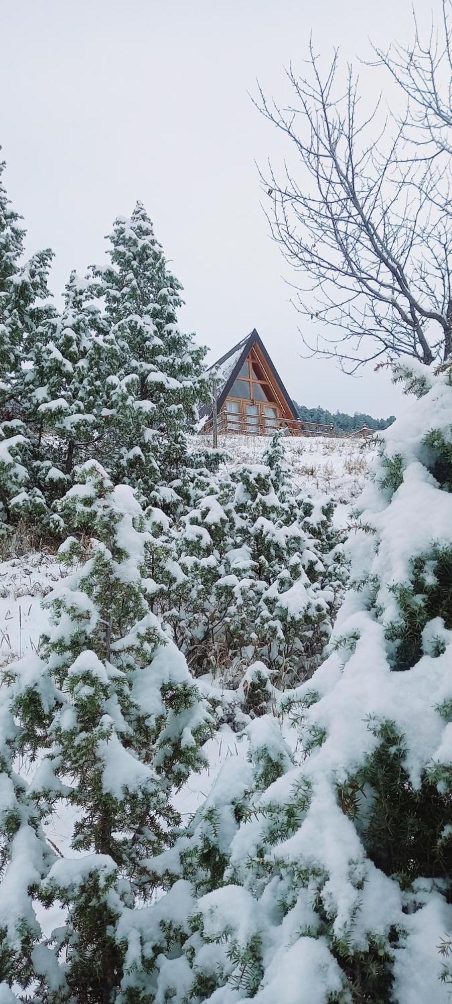 Monte Zen Villa Zabljak  Exterior photo